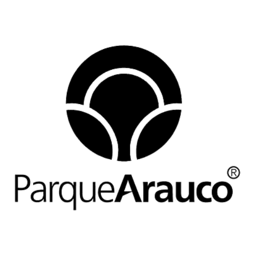 6 (1)