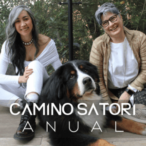 camino-satori-anual-curso