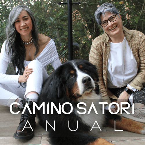 camino-satori-anual-curso